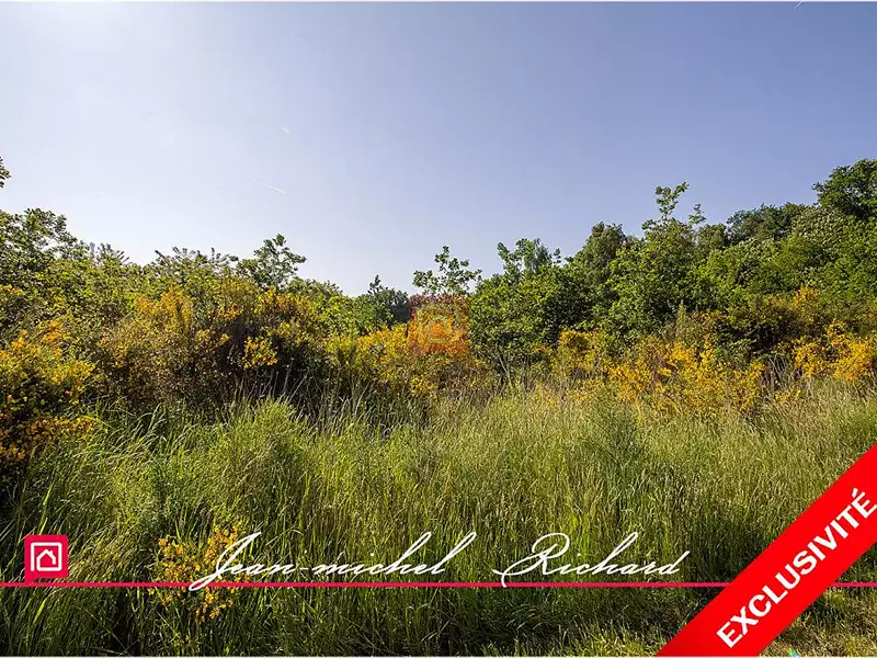 Terrain, 101 030 m²