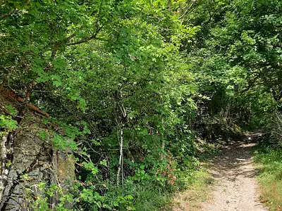 Terrain, 6 602 m²