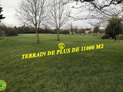 Maison, 80 m²
