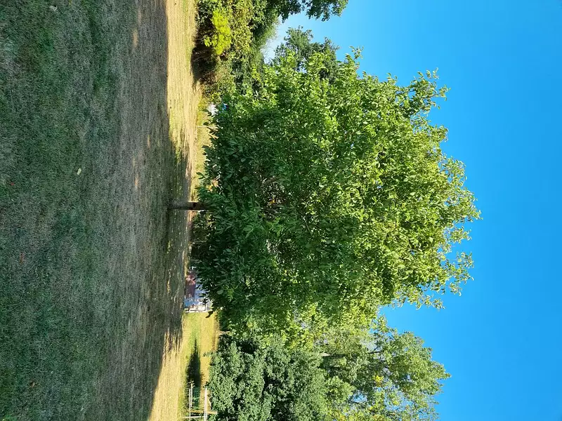 Maison, 133 m²