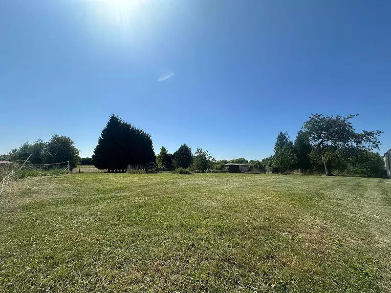 Terrain