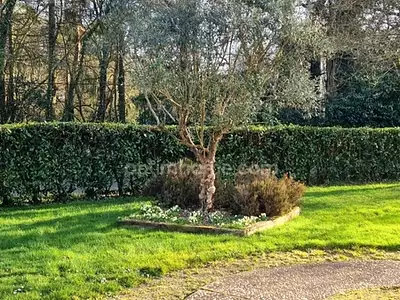 Maison, 128 m²