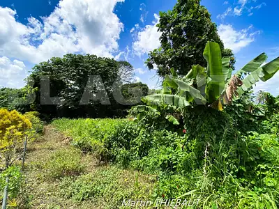 Terrain, 631 m²
