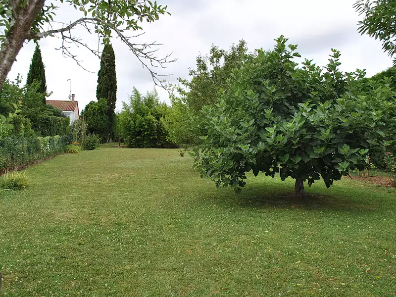 Maison, 100 m²
