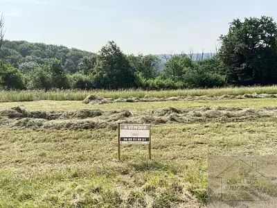 Terrain, 1 255 m²