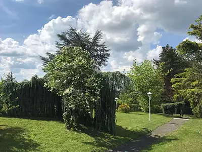 Maison, 280 m²