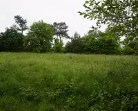 Terrain, 2 604 m²