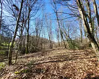 Terrain, 27 664 m²