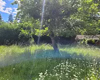 Terrain, 706 m²