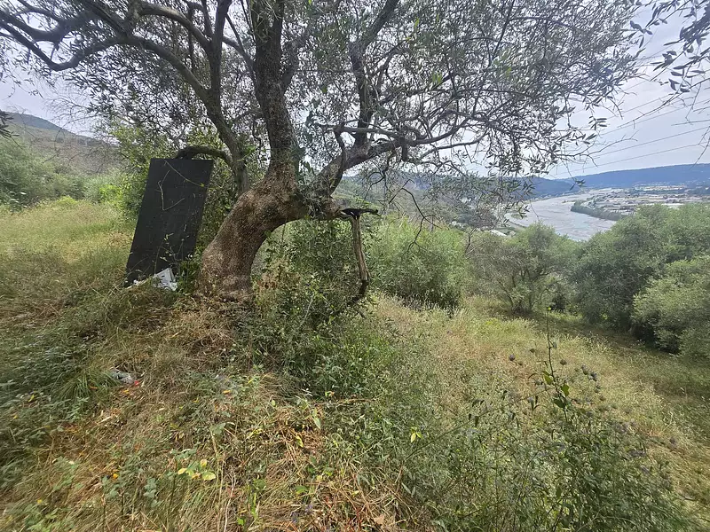 Terrain, 1 127 m²