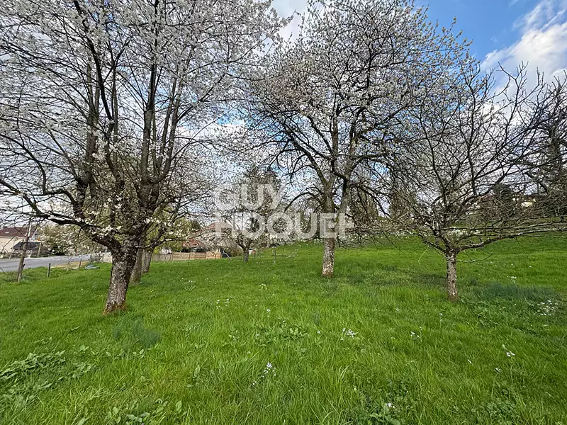 Terrain, 1 800 m²