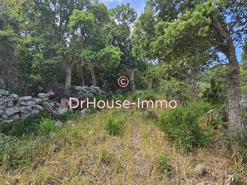 Terrain, 1 490 m²
