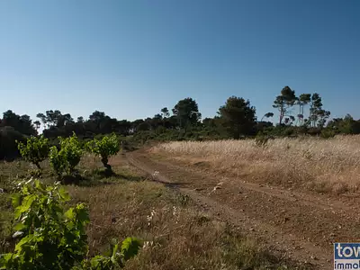 Terrain, 42 302 m²