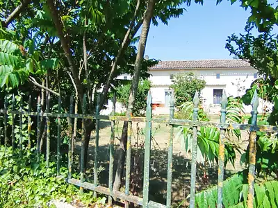 Maison, 233 m²