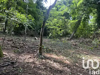 Terrain, 1 208 m²