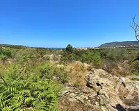 Terrain