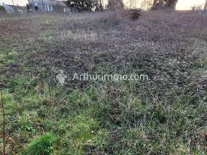 Terrain, 631 m²