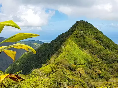 Terrain, 169 411 m²