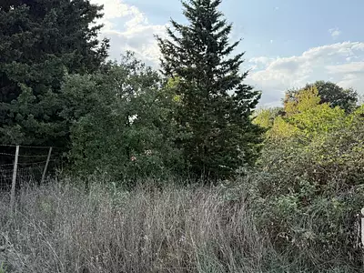 Terrain, 3 699 m²