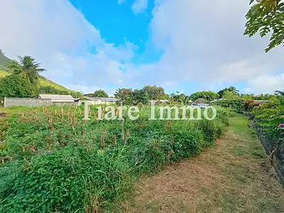 Terrain, 901 m²