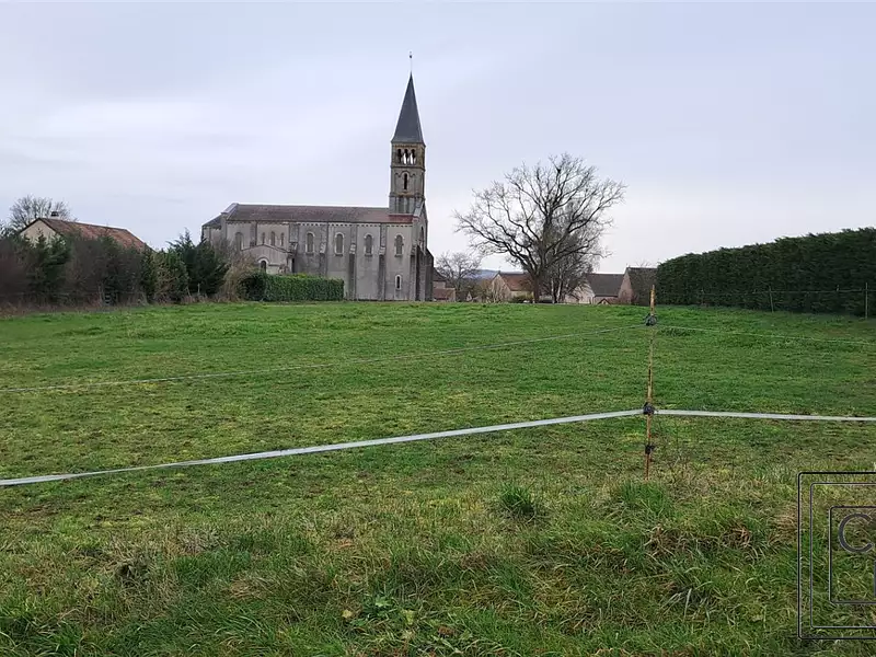 Terrain, 1 299 m²