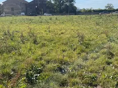 Terrain, 691 m²
