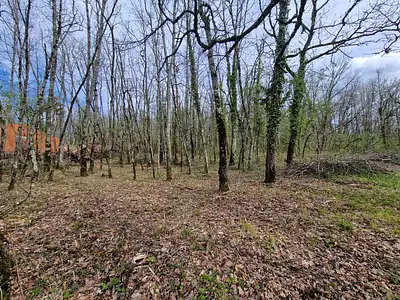 Terrain, 1 516 m²