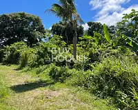 Terrain, 589 m²