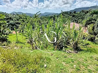 Terrain, 445 m²