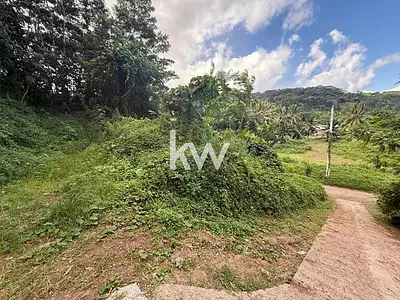 Terrain, 1 622 m²