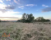 Terrain, 10 076 m²