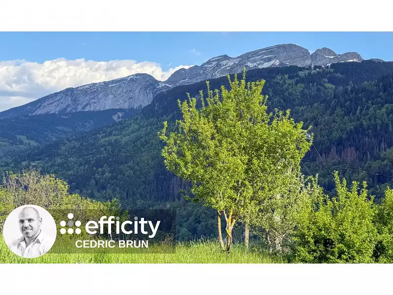 Terrain, 990 m²