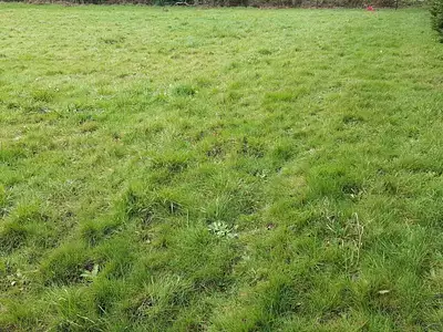 Terrain, 355 m²