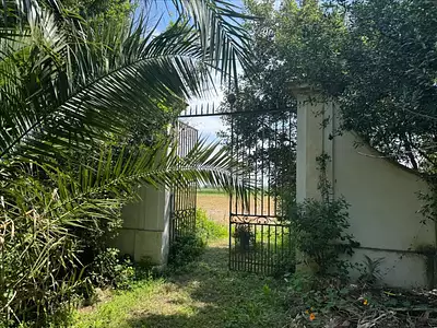 Maison, 430 m²