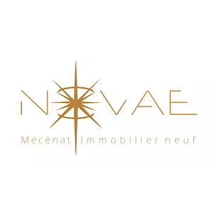 Novae