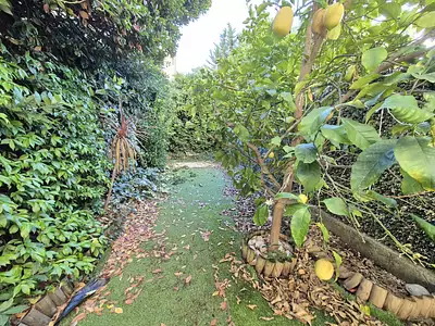 Appartement, 54,85 m²