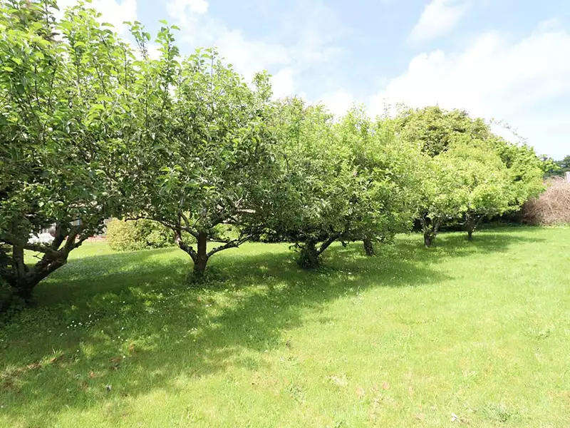 Maison, 400 m²