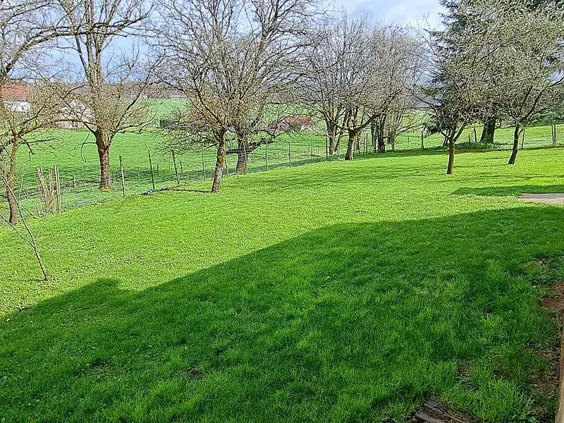 Maison, 310 m²
