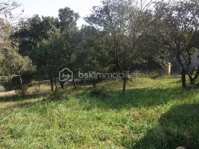 Terrain, 580 m²