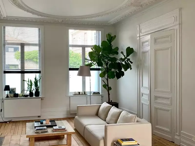 Maison, 220 m²
