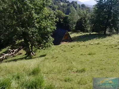 Appartement, 55 m²