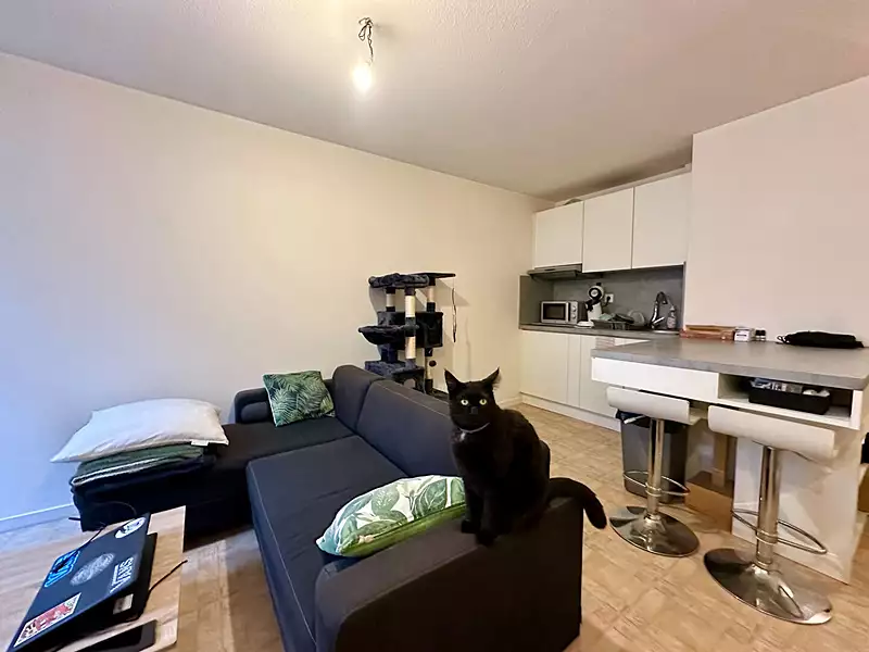 Appartement, 39,23 m²