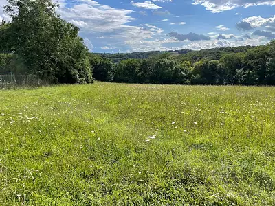 Terrain, 2 305 m²