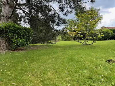 Terrain, 602 m²