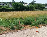 Terrain, 746 m²
