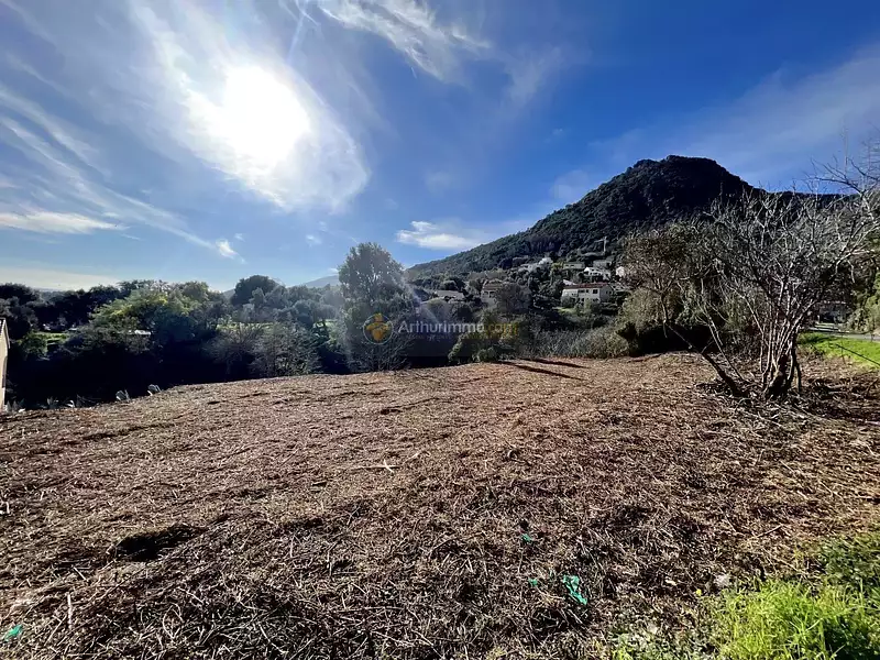 Terrain, 1 310 m²