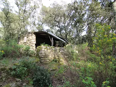 Terrain, 8 914 m²
