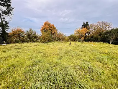 Terrain, 530 m²
