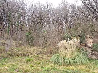 Terrain, 2 677 m²