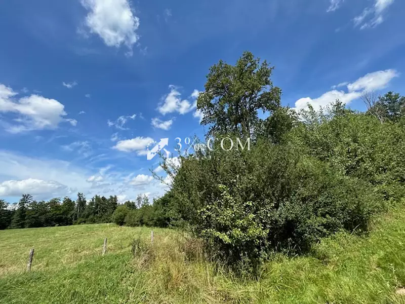 Terrain, 11 407 m²